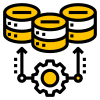 Database Management